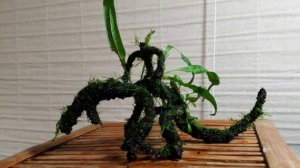Moss Monster and Its Rider